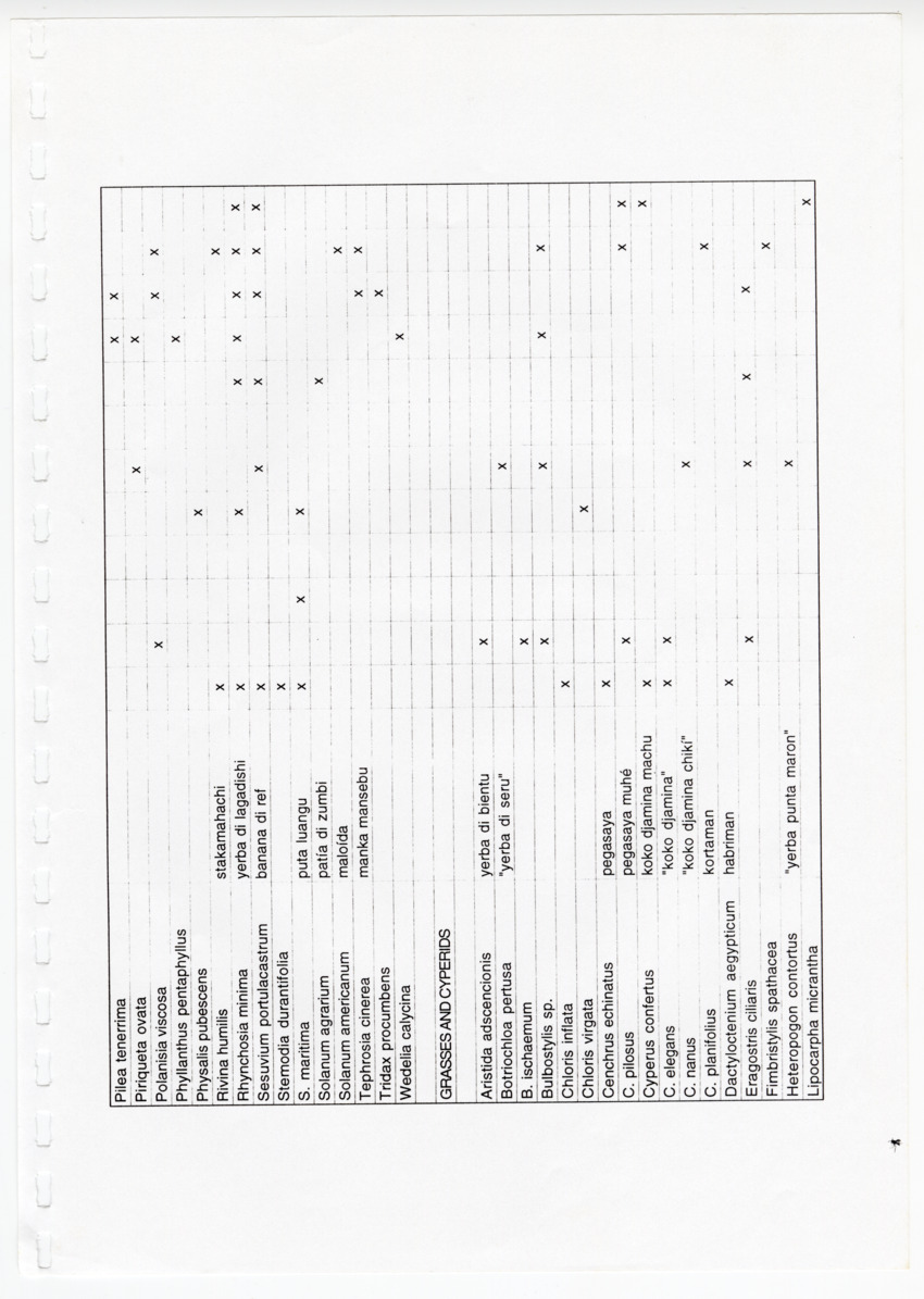 Z Avifaunal and Botanical Survey of the Jan Thiel Lagoon Conservation Area, Curacao - New Page