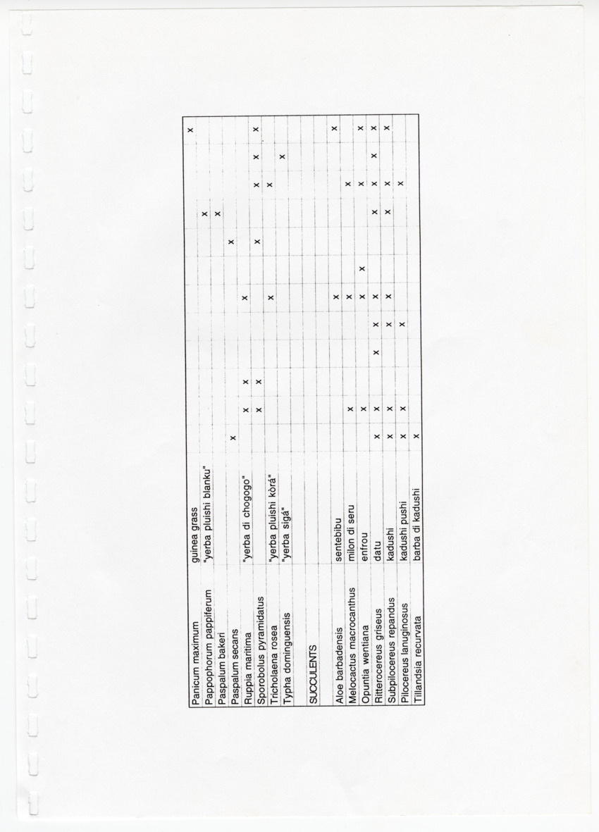Z Avifaunal and Botanical Survey of the Jan Thiel Lagoon Conservation Area, Curacao - New Page