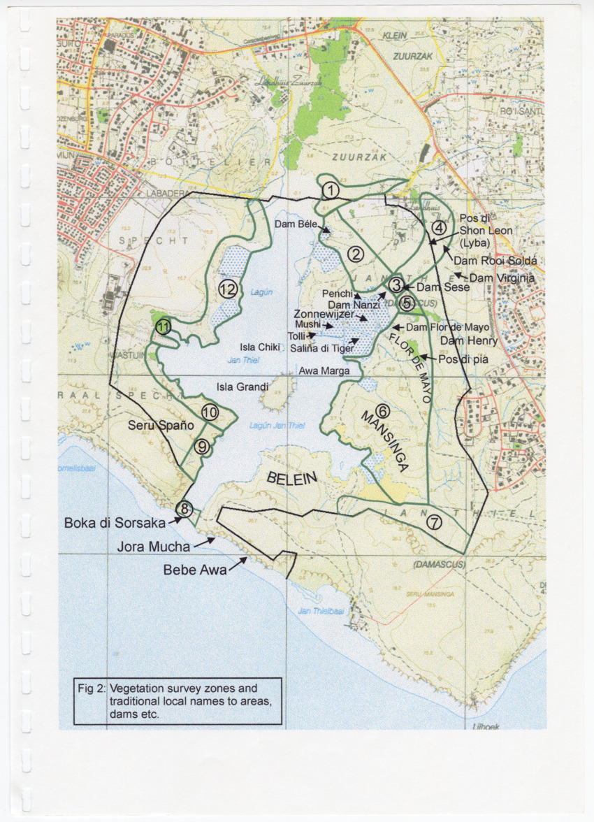Z Avifaunal and Botanical Survey of the Jan Thiel Lagoon Conservation Area, Curacao - New Page