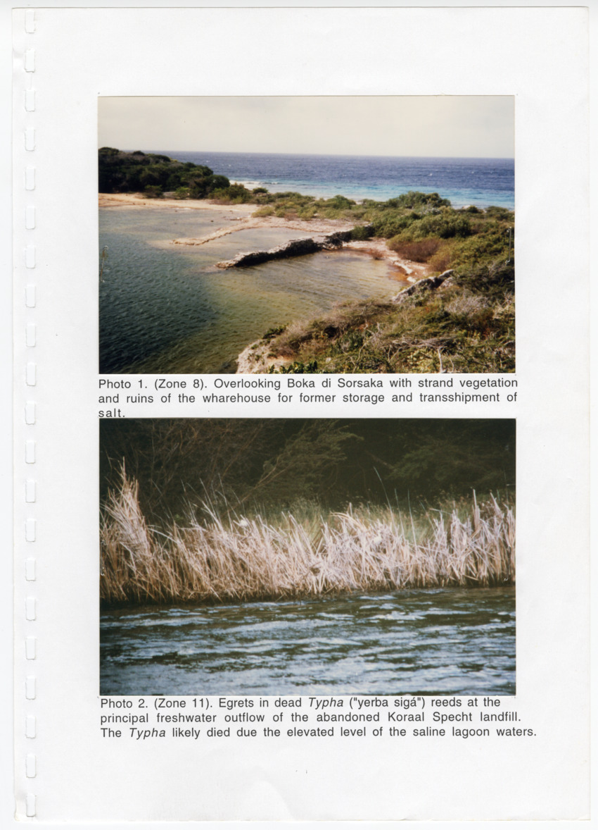 Z Avifaunal and Botanical Survey of the Jan Thiel Lagoon Conservation Area, Curacao - New Page