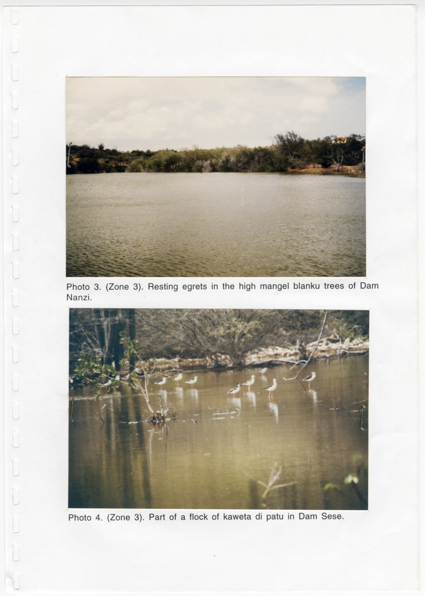 Z Avifaunal and Botanical Survey of the Jan Thiel Lagoon Conservation Area, Curacao - New Page