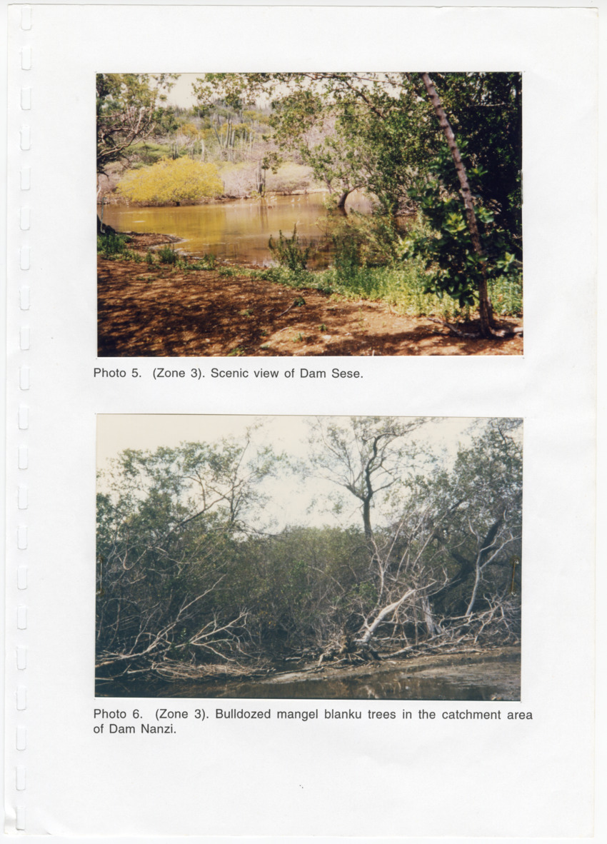 Z Avifaunal and Botanical Survey of the Jan Thiel Lagoon Conservation Area, Curacao - New Page