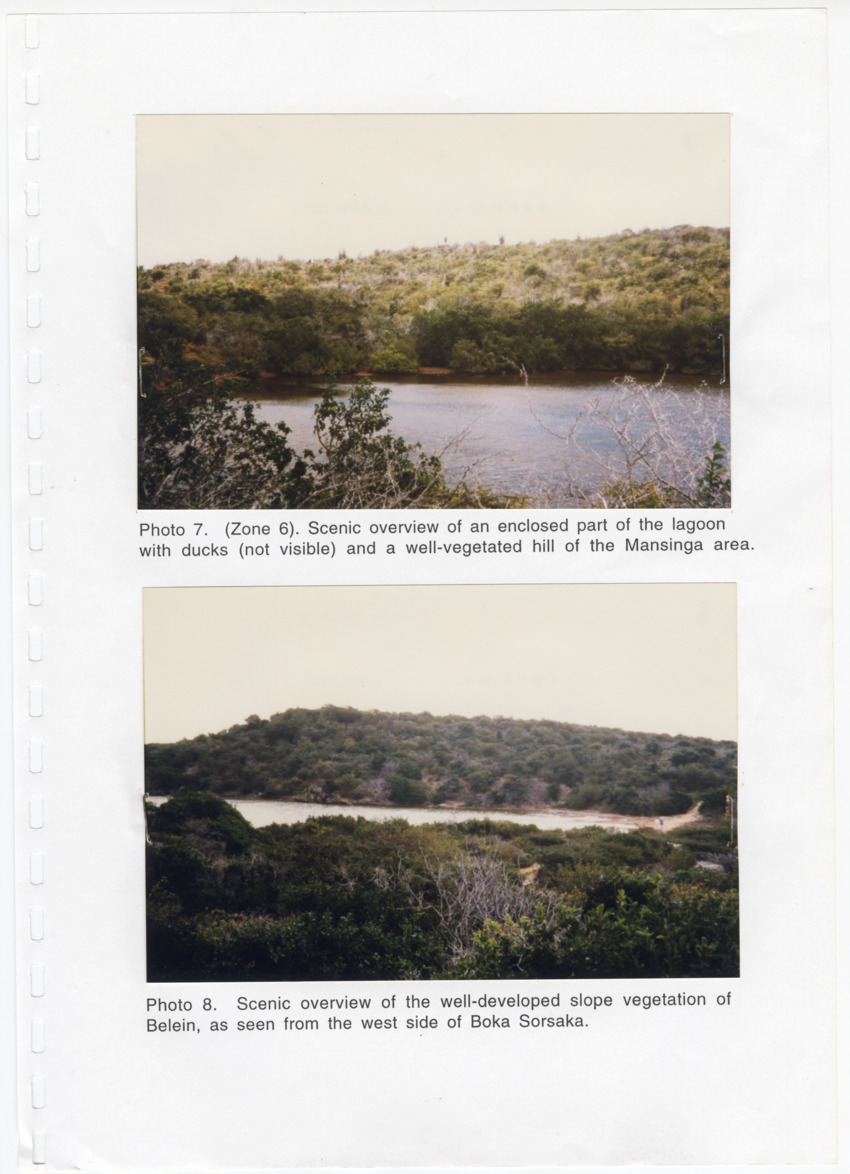 Z Avifaunal and Botanical Survey of the Jan Thiel Lagoon Conservation Area, Curacao - New Page