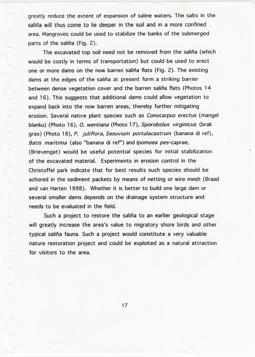 Z Brief Biological Inventory of Portomari Estate, Curacao - New Page