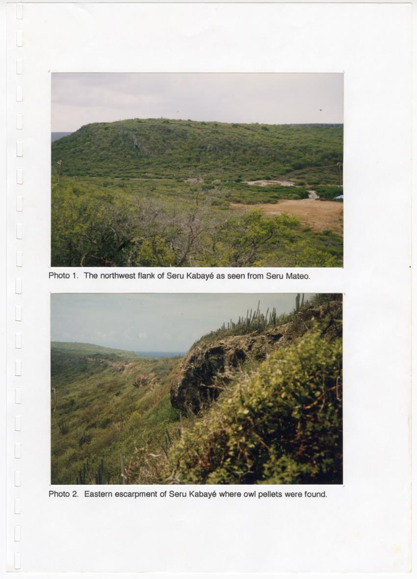 Z Brief Biological Inventory of Portomari Estate, Curacao - New Page
