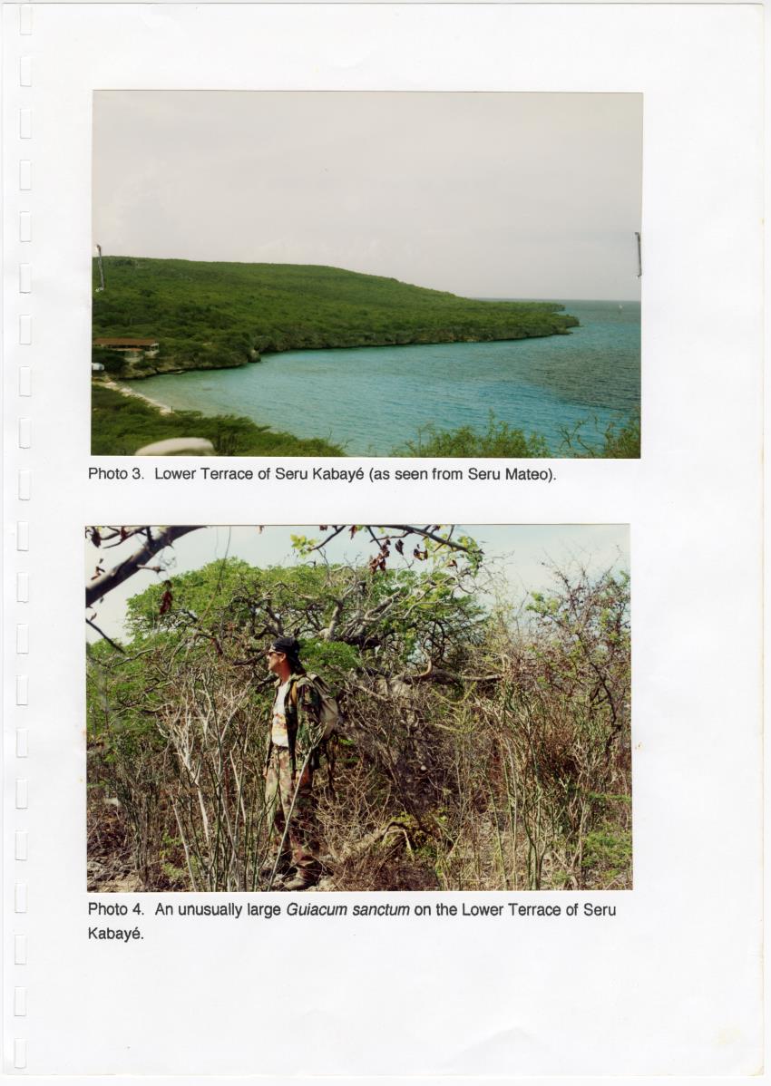 Z Brief Biological Inventory of Portomari Estate, Curacao - New Page