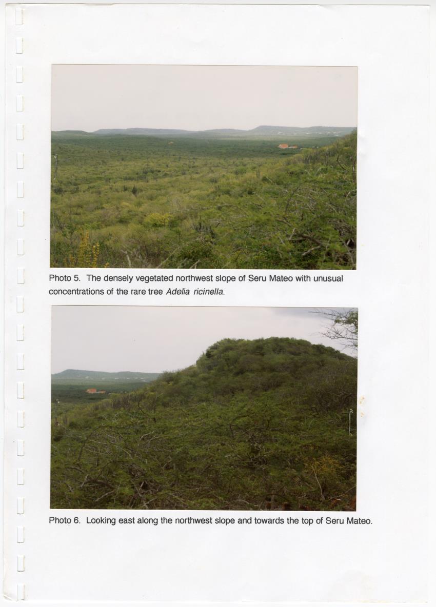 Z Brief Biological Inventory of Portomari Estate, Curacao - New Page