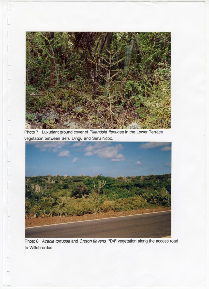 Z Brief Biological Inventory of Portomari Estate, Curacao - New Page