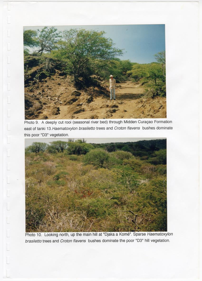 Z Brief Biological Inventory of Portomari Estate, Curacao - New Page