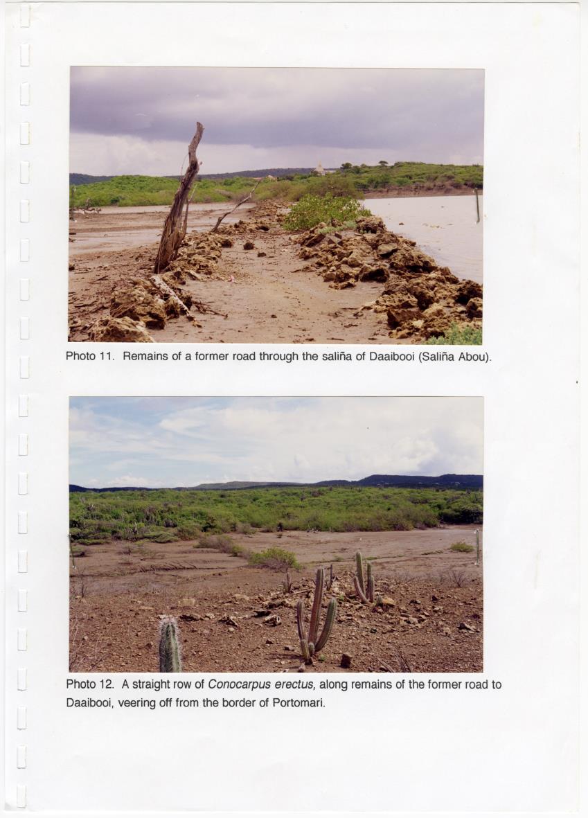 Z Brief Biological Inventory of Portomari Estate, Curacao - New Page