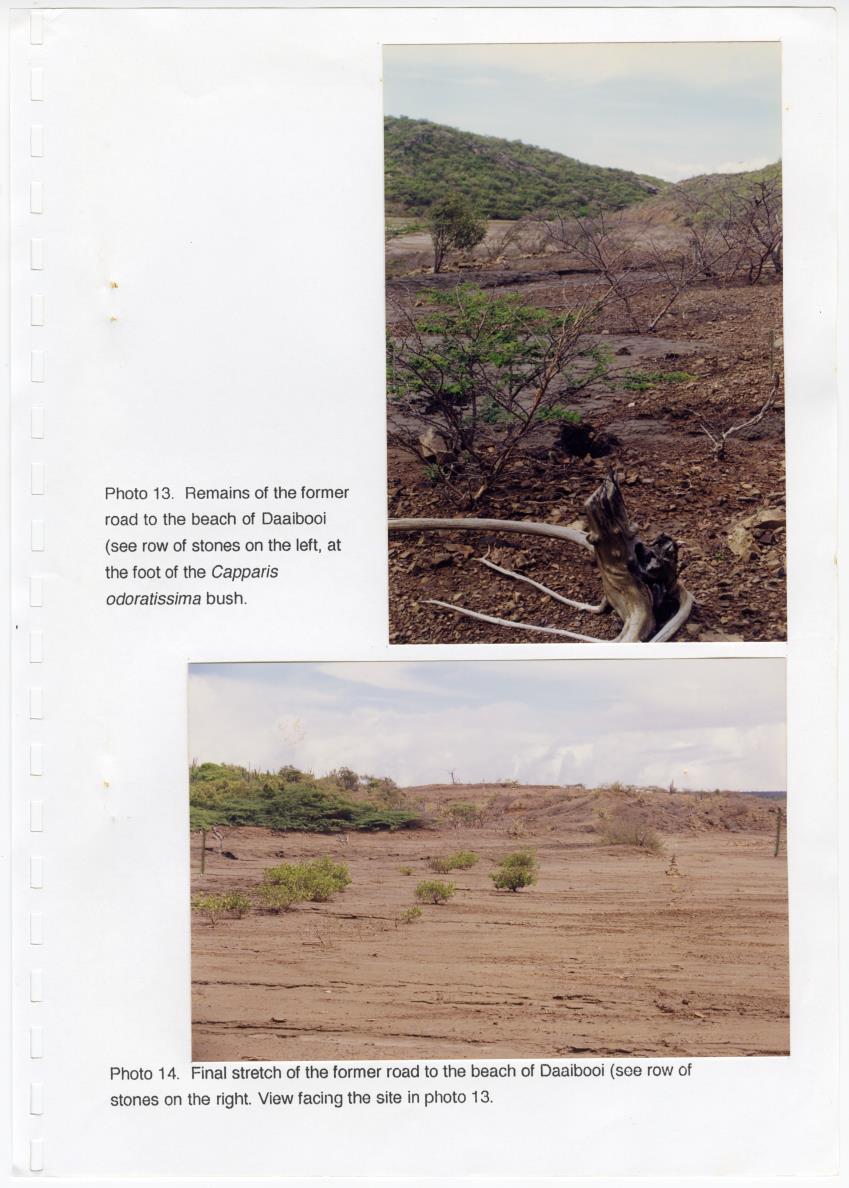 Z Brief Biological Inventory of Portomari Estate, Curacao - New Page