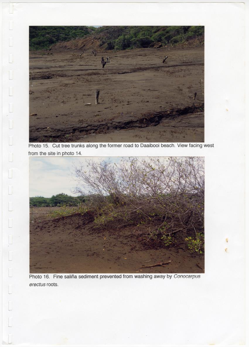 Z Brief Biological Inventory of Portomari Estate, Curacao - New Page