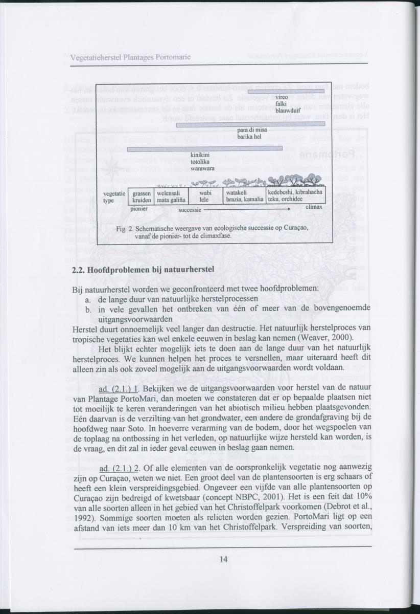 Ecologische ommekeer op basis van vegetatieherstel: plantages Portomari - Page 13