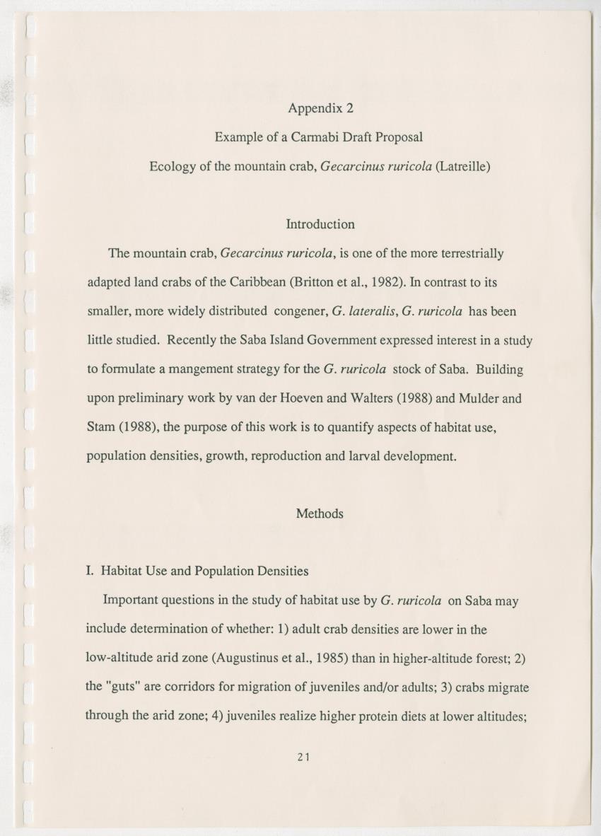 Z Research at the Carmabi Foundation - New Page