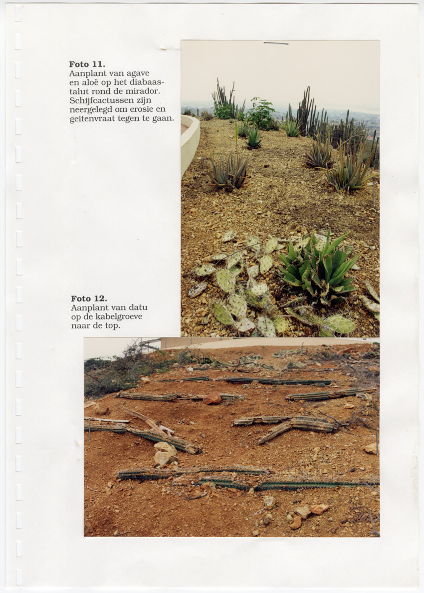 Z Uitgangspunten voor het Beheer van Conserveringsgebied Midden-Seinpost, Roi Santu, Curacao - New Page