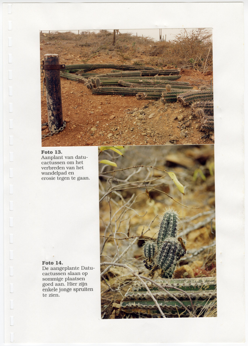 Z Uitgangspunten voor het Beheer van Conserveringsgebied Midden-Seinpost, Roi Santu, Curacao - New Page