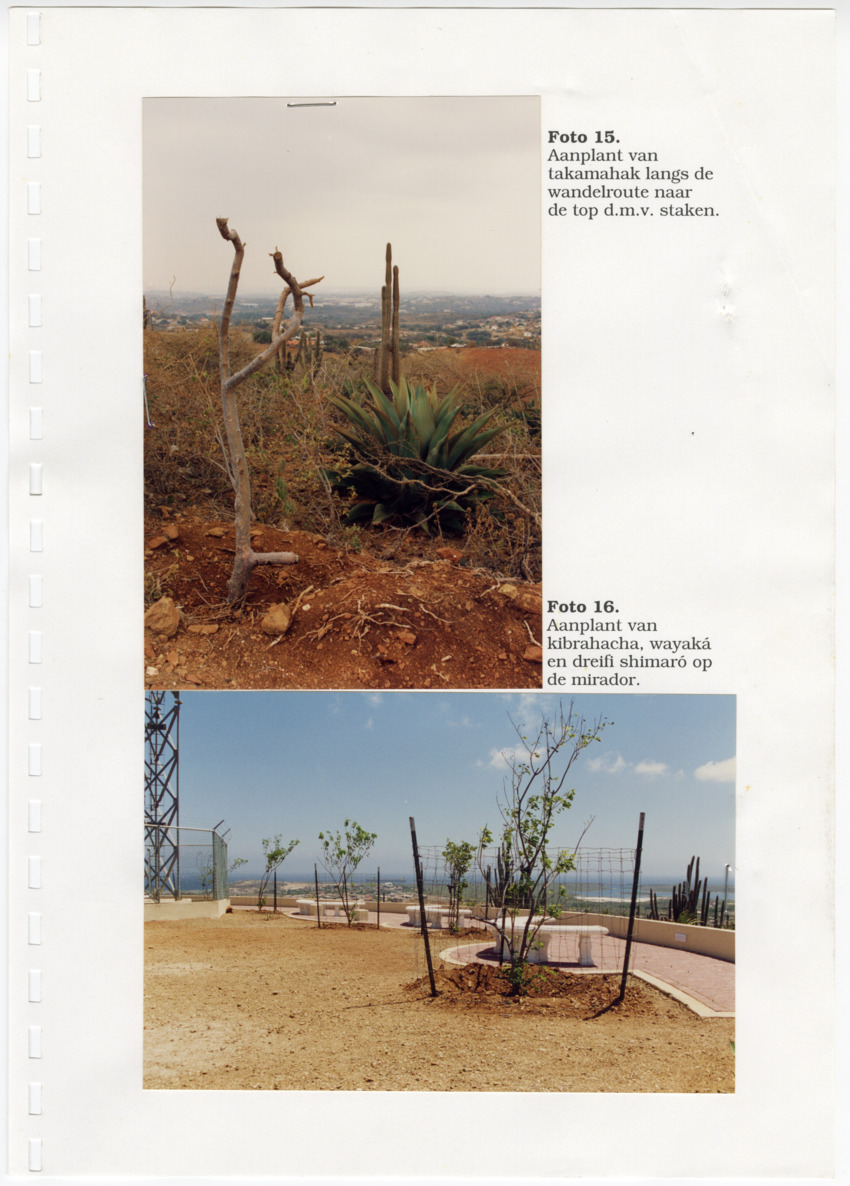 Z Uitgangspunten voor het Beheer van Conserveringsgebied Midden-Seinpost, Roi Santu, Curacao - New Page