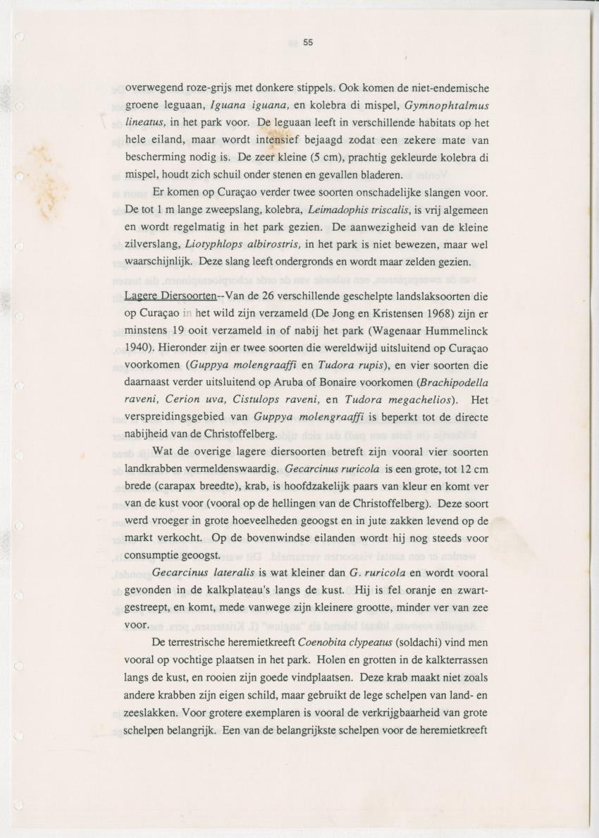 Z Uitgangspunten voor Beheer van het Christoffelpark, Curacao - New Page