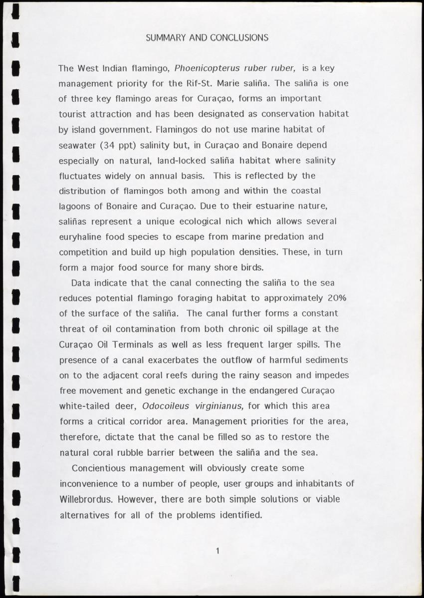 A Conservation Assessment of an Open Connection between the Salina of Rif-St.Marie and the Sea - New Page