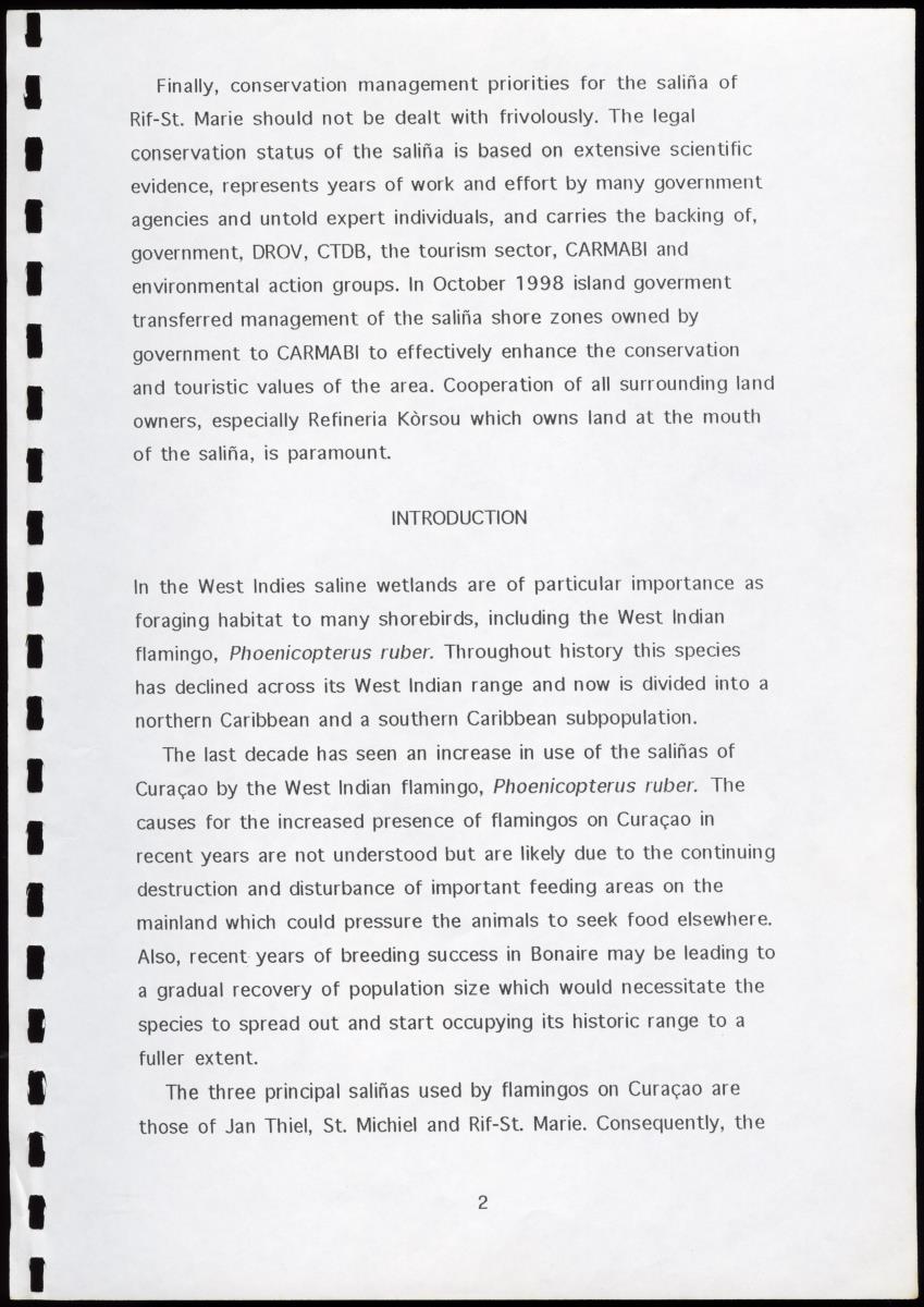 A Conservation Assessment of an Open Connection between the Salina of Rif-St.Marie and the Sea - New Page