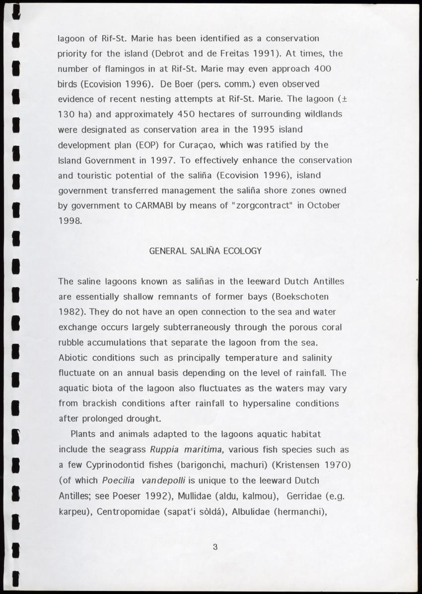 A Conservation Assessment of an Open Connection between the Salina of Rif-St.Marie and the Sea - New Page