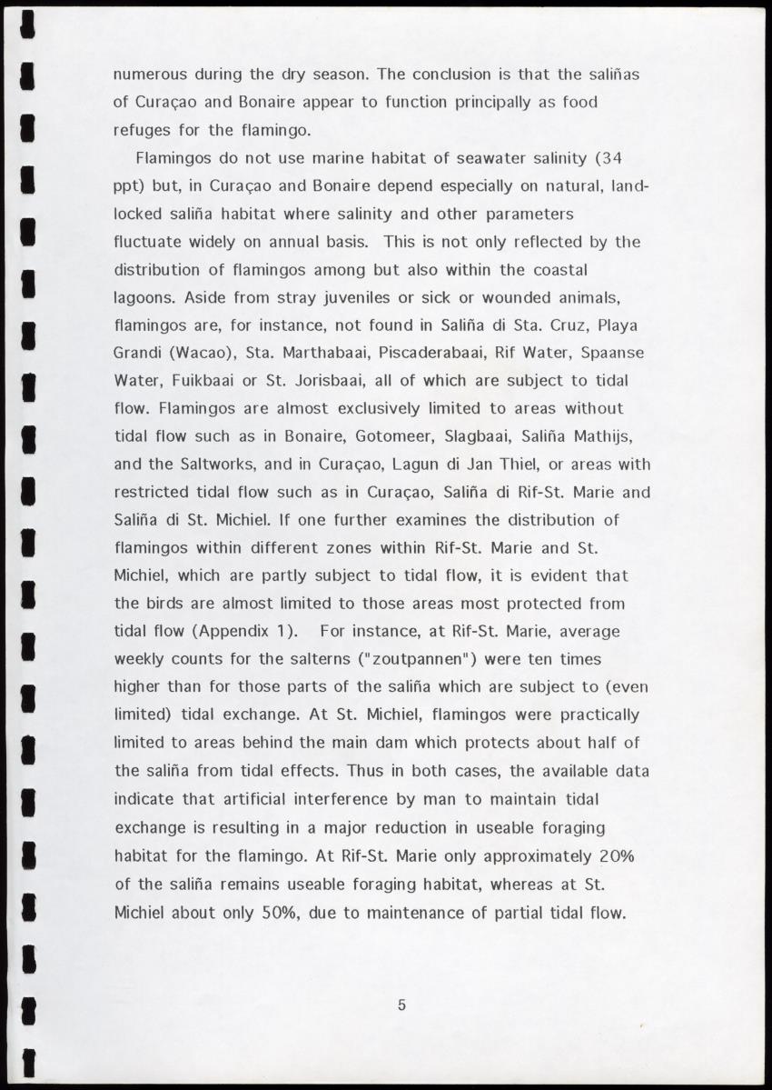 A Conservation Assessment of an Open Connection between the Salina of Rif-St.Marie and the Sea - New Page