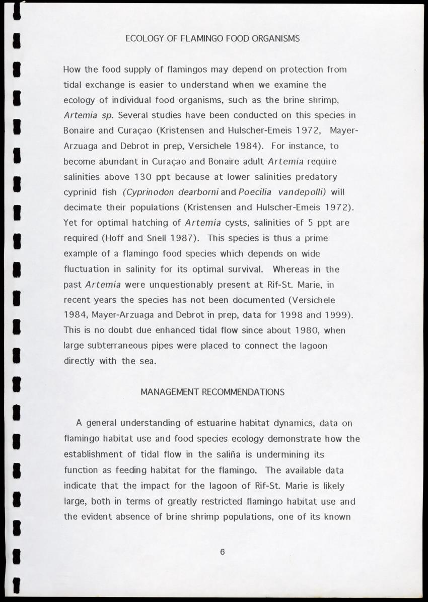 A Conservation Assessment of an Open Connection between the Salina of Rif-St.Marie and the Sea - New Page