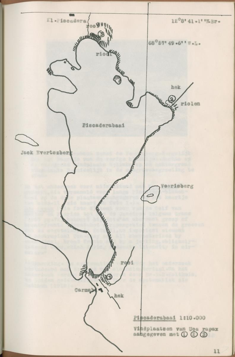 Z Verslag van een onderzoek naar ritme en endocriene regulatie van de kleurveranderingen bij de wenkkrab, Uca rapax - New Page