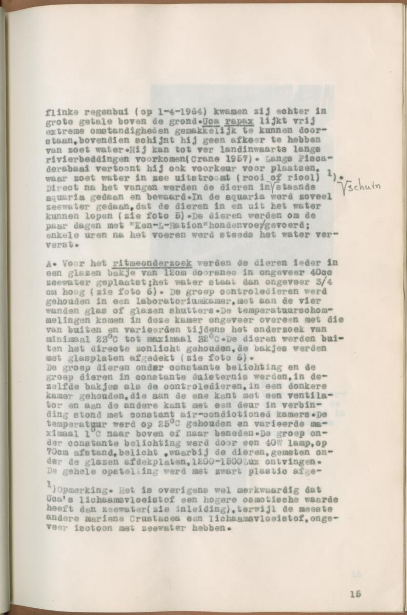 Z Verslag van een onderzoek naar ritme en endocriene regulatie van de kleurveranderingen bij de wenkkrab, Uca rapax - New Page