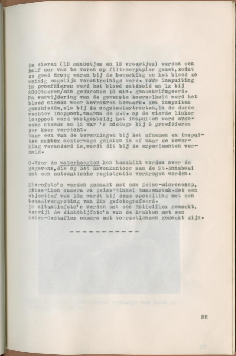 Z Verslag van een onderzoek naar ritme en endocriene regulatie van de kleurveranderingen bij de wenkkrab, Uca rapax - New Page