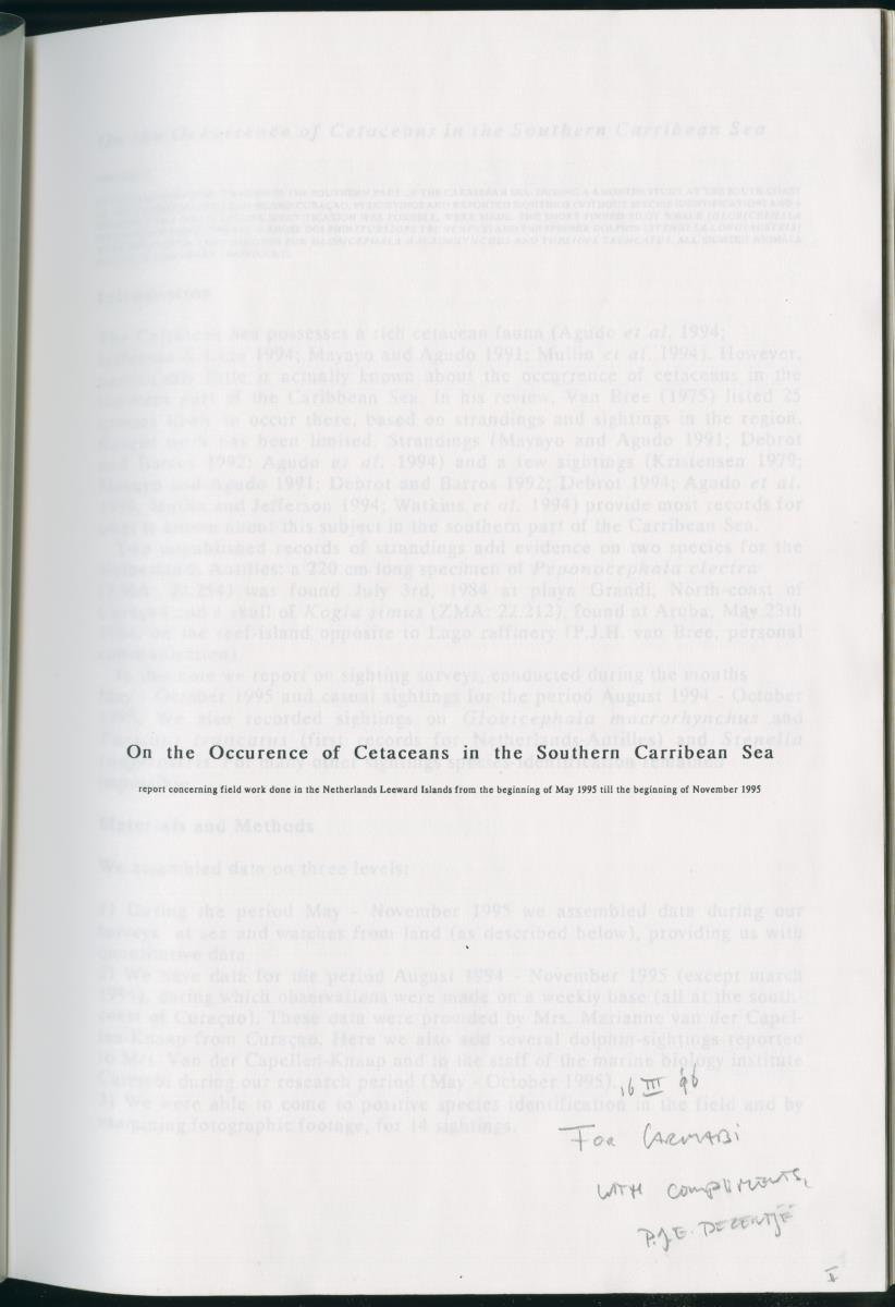 Z On the Occurence of Cetaceans in the Southern Carribean Sea - New Page