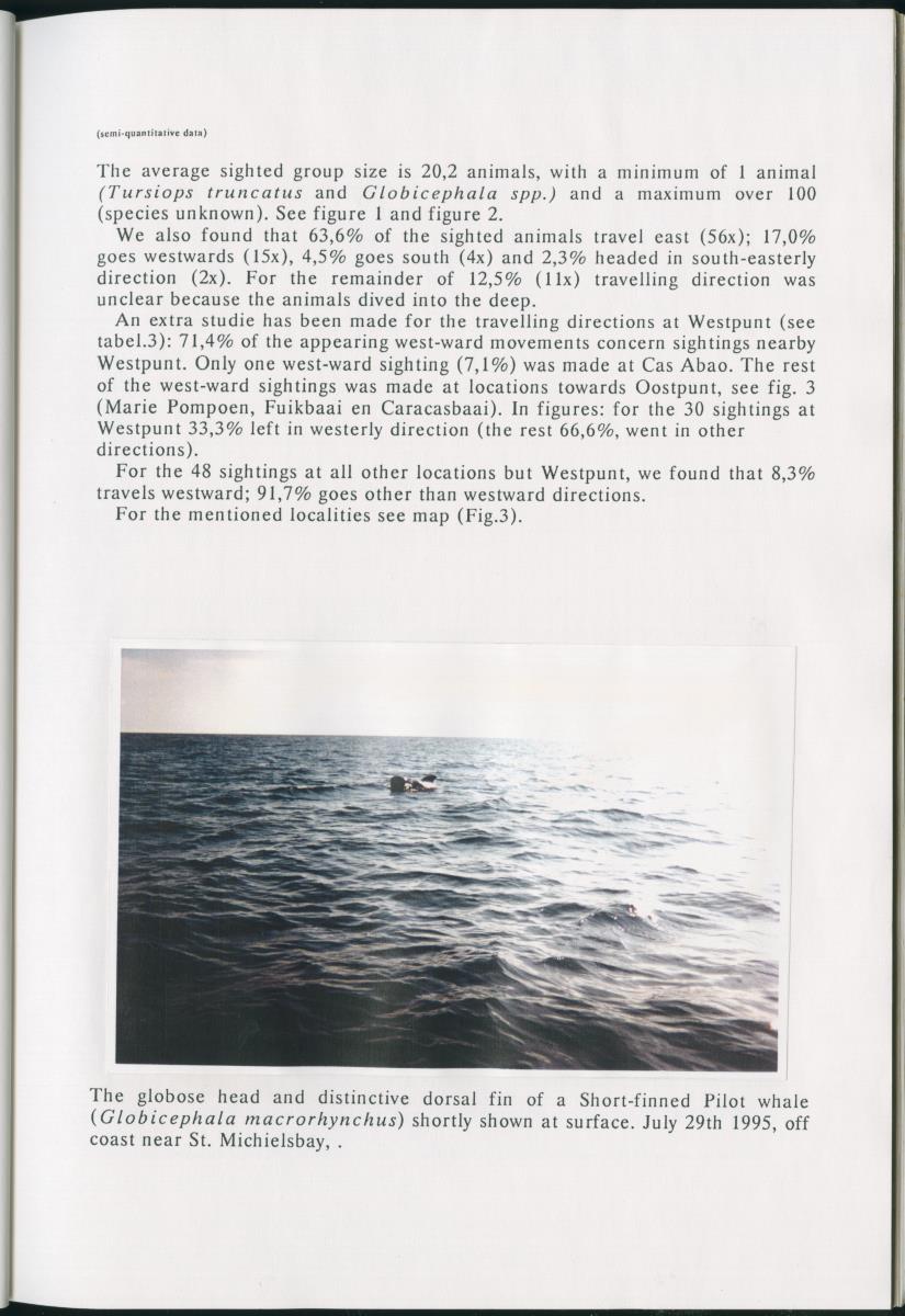 Z On the Occurence of Cetaceans in the Southern Carribean Sea - New Page