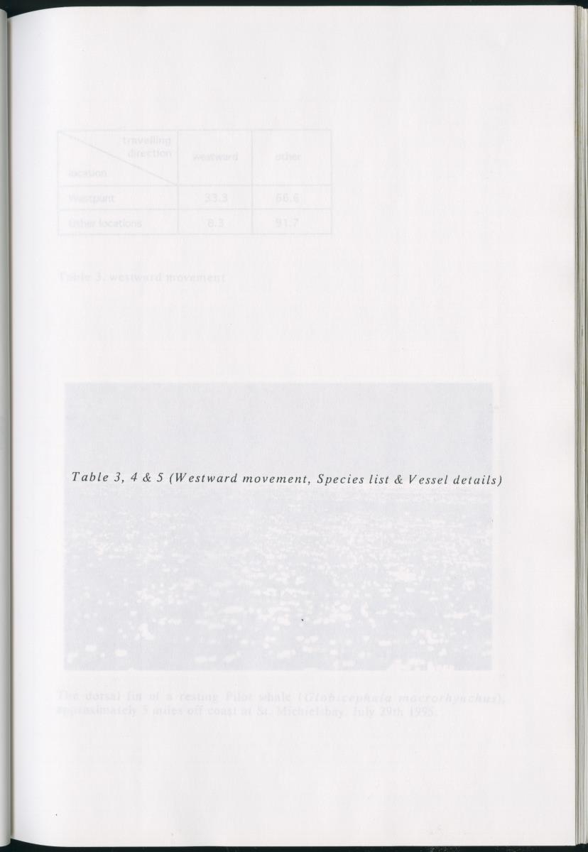 Z On the Occurence of Cetaceans in the Southern Carribean Sea - New Page