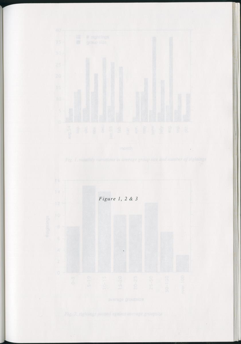 Z On the Occurence of Cetaceans in the Southern Carribean Sea - New Page