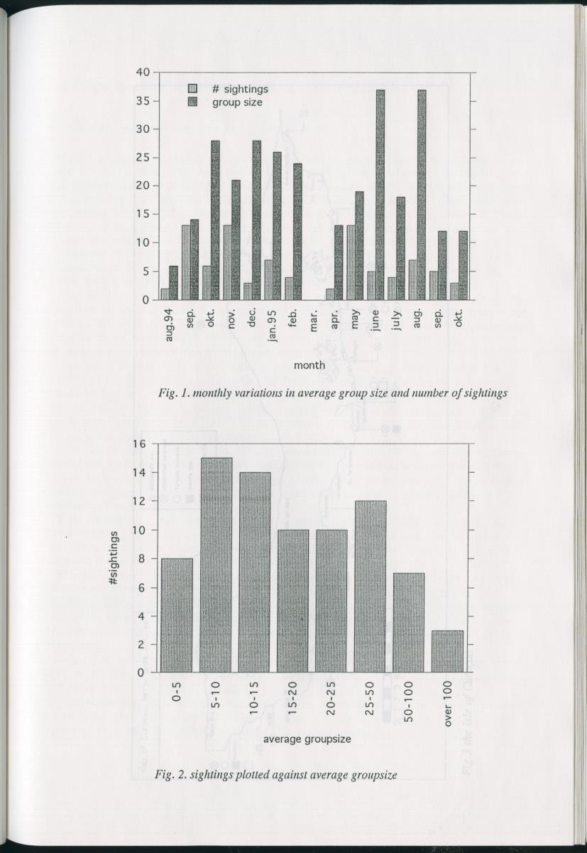 Z On the Occurence of Cetaceans in the Southern Carribean Sea - New Page