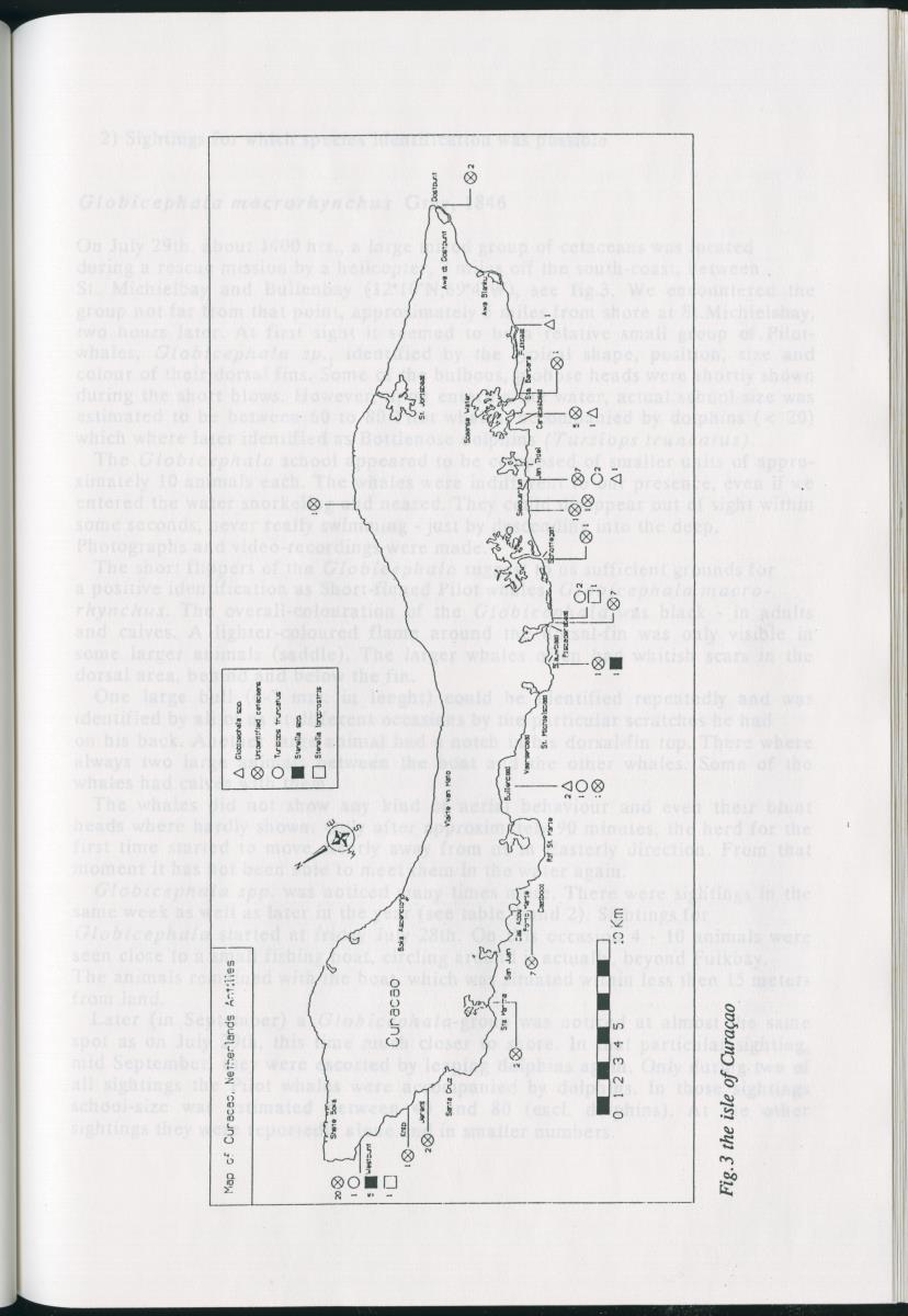 Z On the Occurence of Cetaceans in the Southern Carribean Sea - New Page