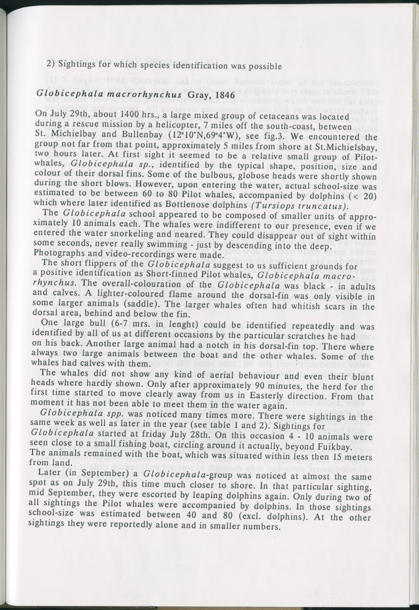 Z On the Occurence of Cetaceans in the Southern Carribean Sea - New Page