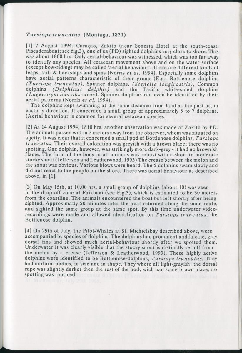 Z On the Occurence of Cetaceans in the Southern Carribean Sea - New Page