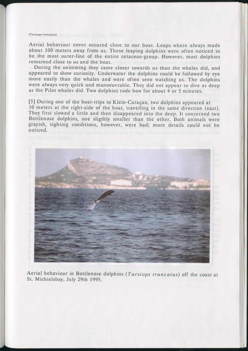 Z On the Occurence of Cetaceans in the Southern Carribean Sea - New Page