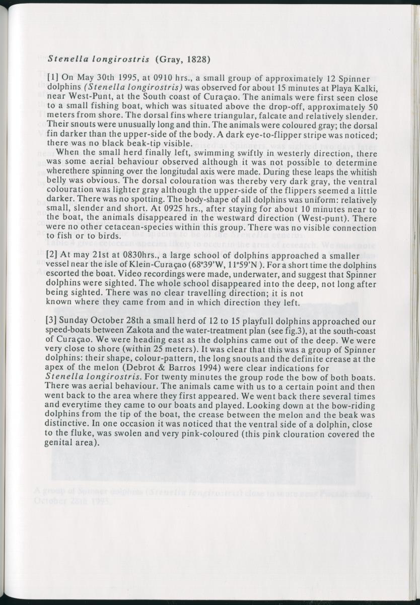 Z On the Occurence of Cetaceans in the Southern Carribean Sea - New Page