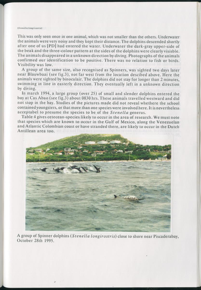 Z On the Occurence of Cetaceans in the Southern Carribean Sea - New Page