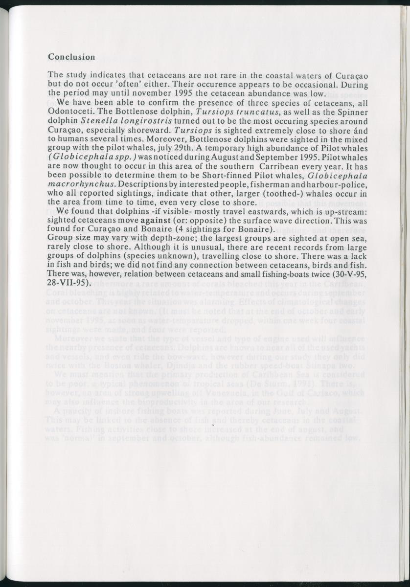 Z On the Occurence of Cetaceans in the Southern Carribean Sea - New Page
