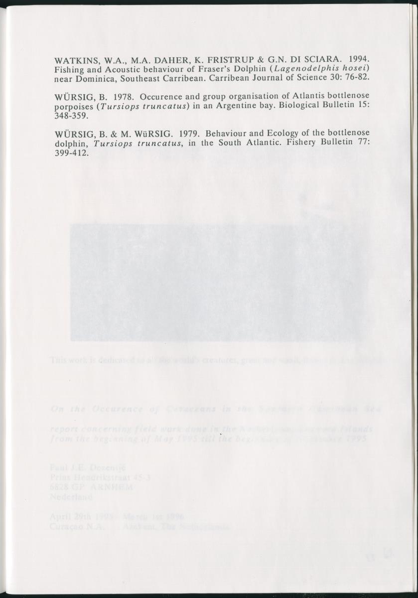 Z On the Occurence of Cetaceans in the Southern Carribean Sea - New Page