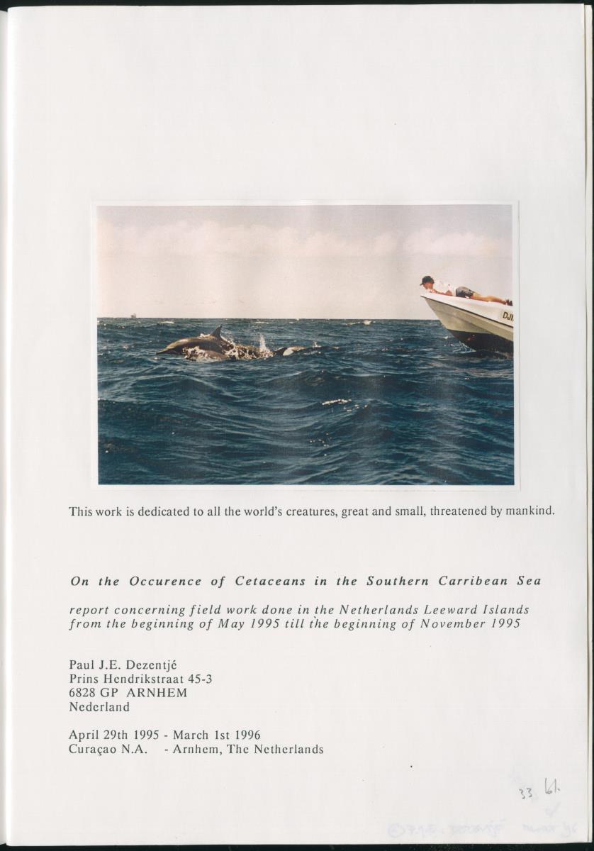 Z On the Occurence of Cetaceans in the Southern Carribean Sea - New Page
