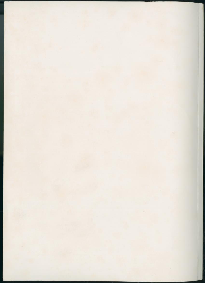 Z On the Occurence of Cetaceans in the Southern Carribean Sea - New Page