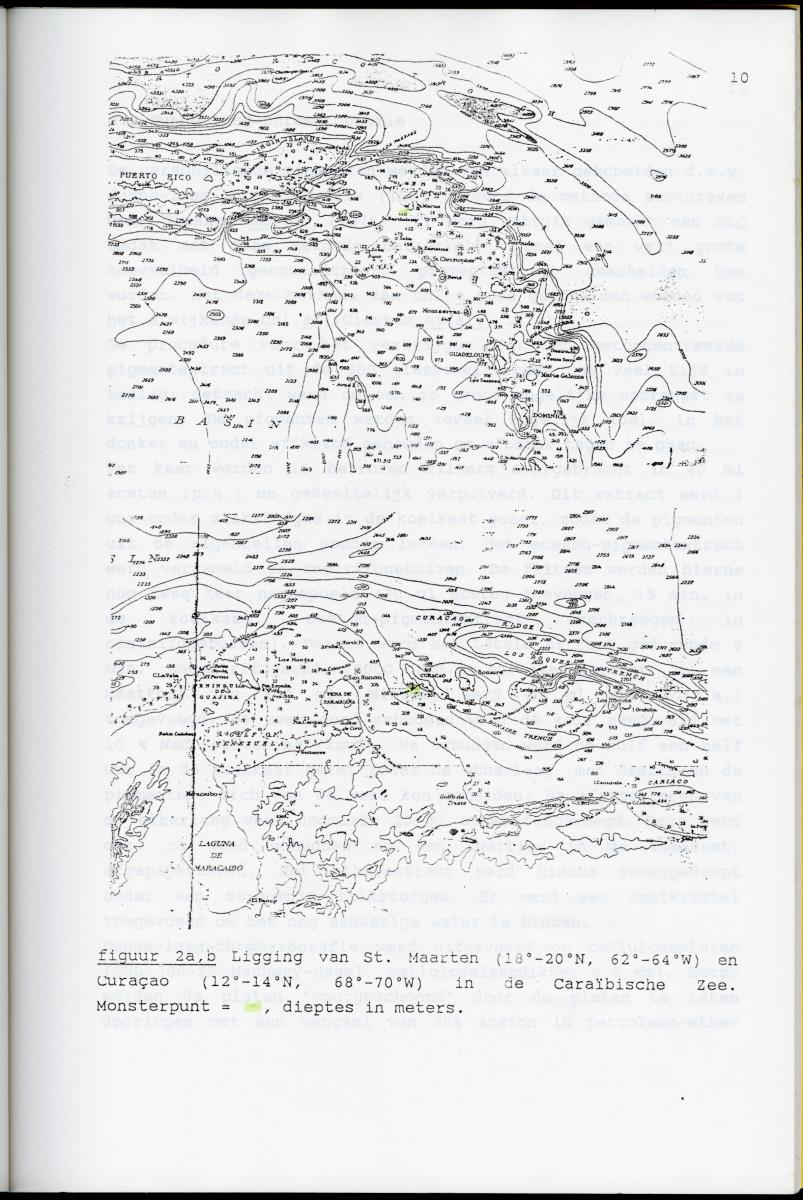 Z Karakterisering van het afwijkende chlorofyl a van vrijlevende mariene prochlorofyten - New Page