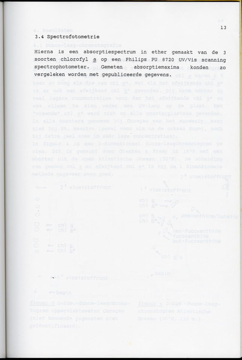 Z Karakterisering van het afwijkende chlorofyl a van vrijlevende mariene prochlorofyten - New Page