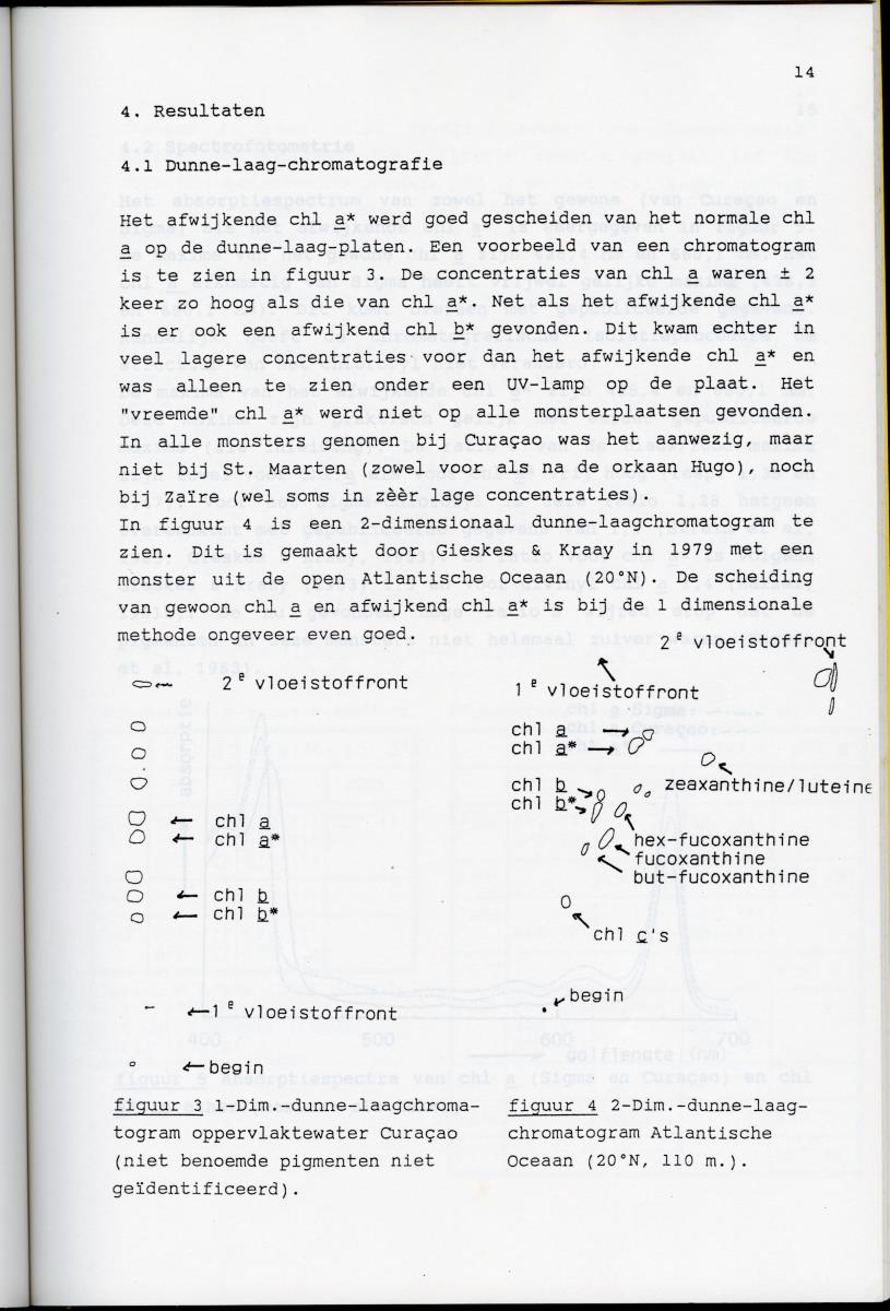 Z Karakterisering van het afwijkende chlorofyl a van vrijlevende mariene prochlorofyten - New Page