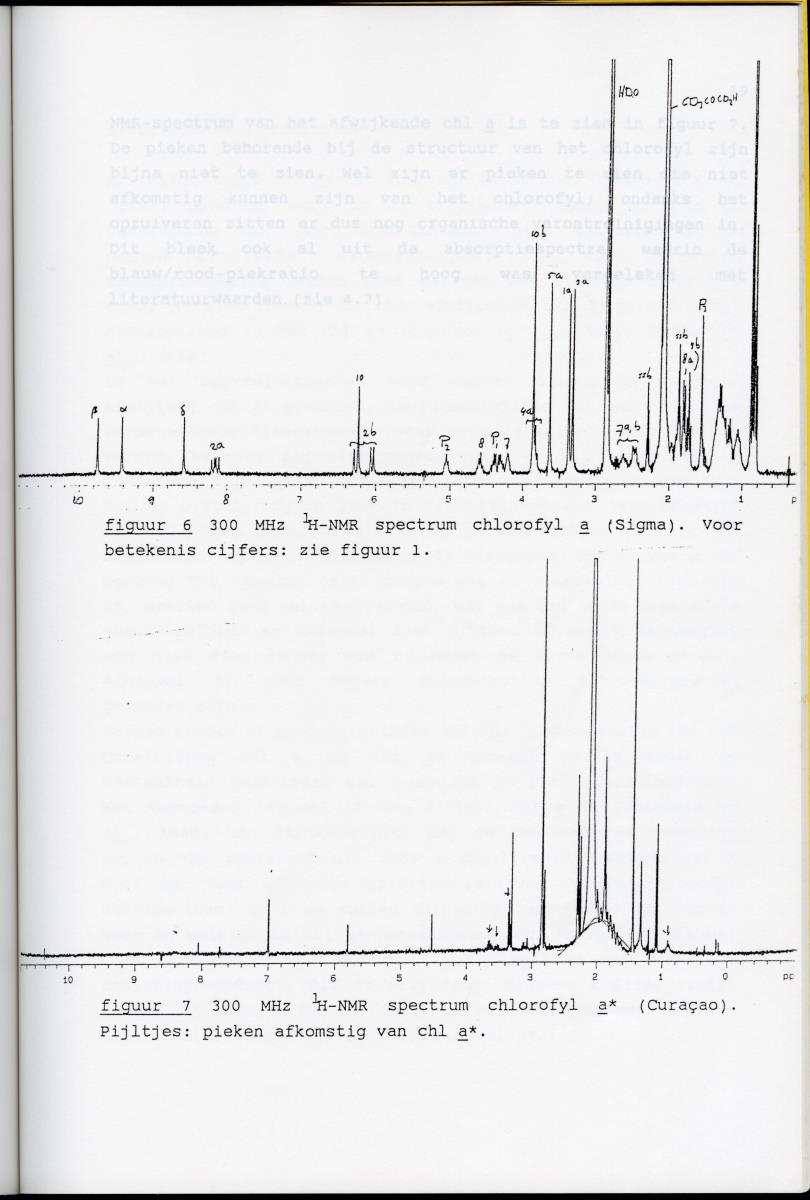 Z Karakterisering van het afwijkende chlorofyl a van vrijlevende mariene prochlorofyten - New Page