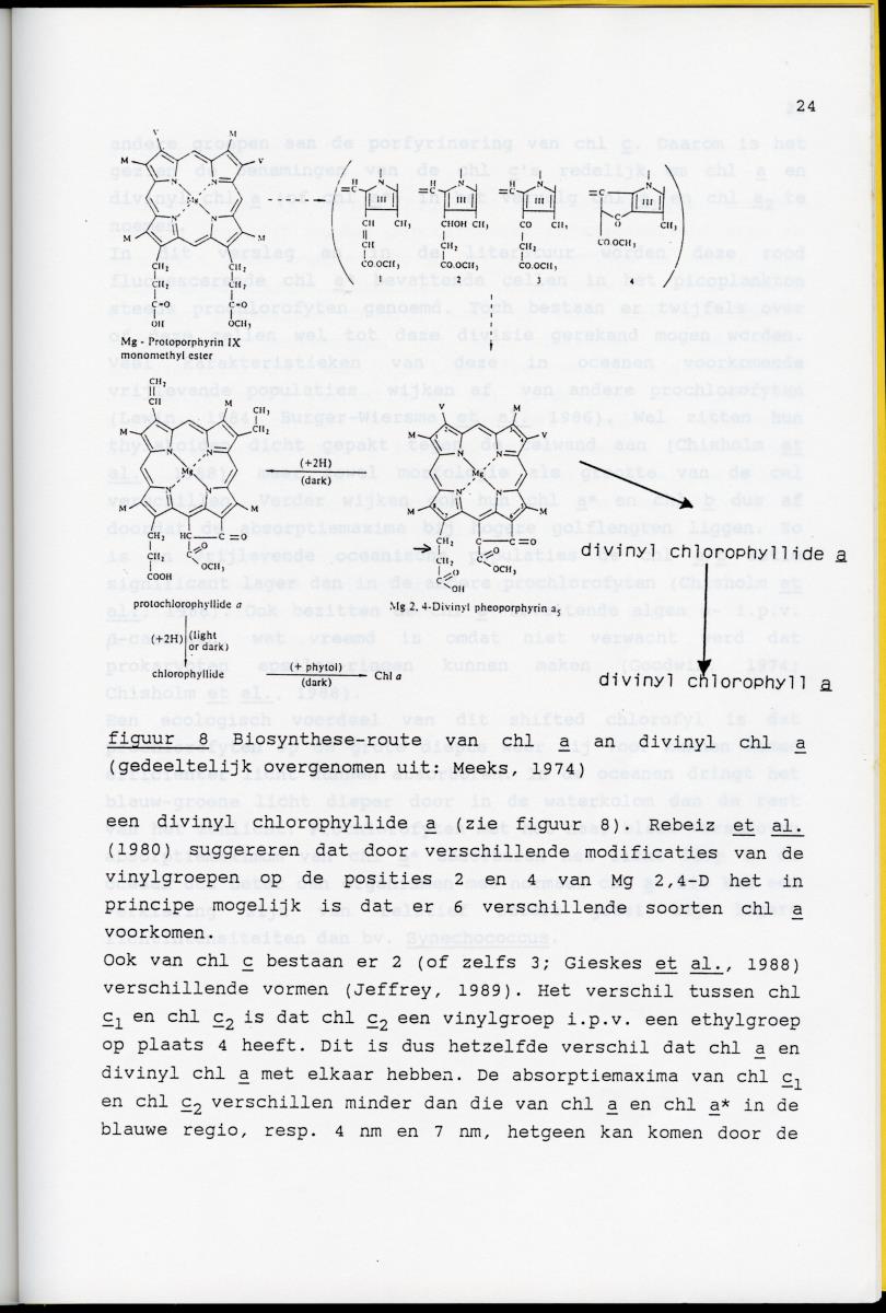 Z Karakterisering van het afwijkende chlorofyl a van vrijlevende mariene prochlorofyten - New Page